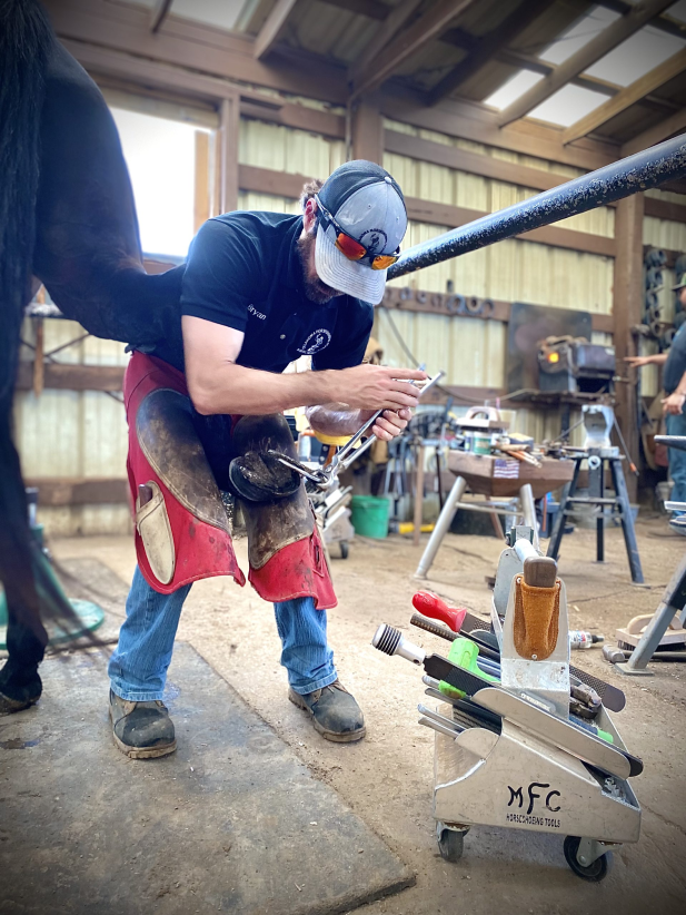 8-Week Horseshoeing-Course