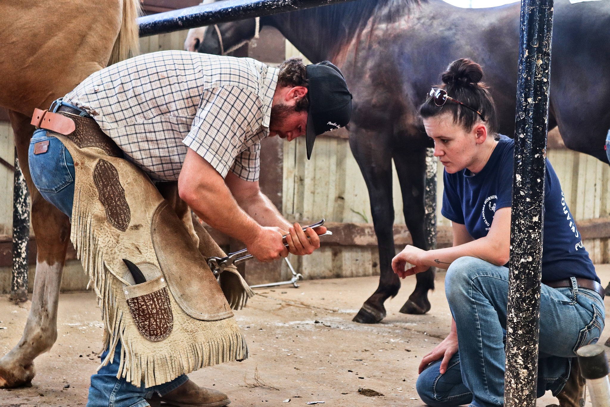 Farrier Course2 – Oklahoma Horseshoeing School