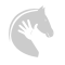 hands-on-training-horse